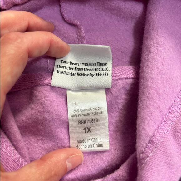 Care Bears Best Friends Hoodie (1X) - Picture 7 of 10